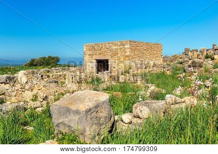 Ruins of Volubilis, a Berber and Roman city in Morocco. UNESCO world heritage site