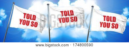 told you so, 3D rendering, triple flags
