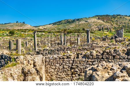 Ruins of Volubilis, a Berber and Roman city in Morocco. UNESCO world heritage site