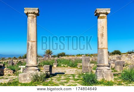 Ruins of Volubilis, a Berber and Roman city in Morocco. UNESCO world heritage site