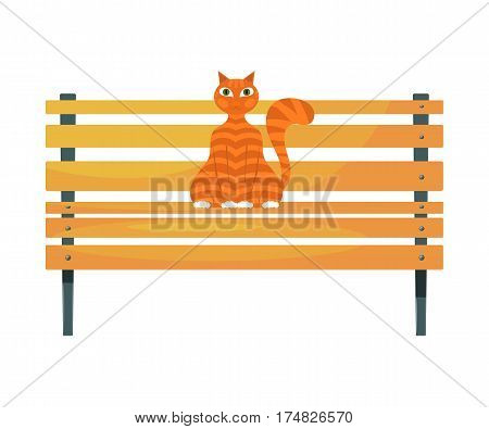 Red cat on the bench. Stock image of ginger tabby cat on a wooden park bench on a white background. Stock vector illustration