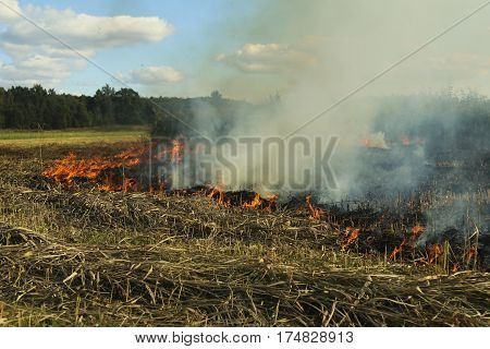 A spring fire. Burning grass. Field Smoke Background