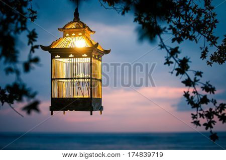 Lanterns hanging from the trees to decorate at sunset - made of wood: cage Lamp bird