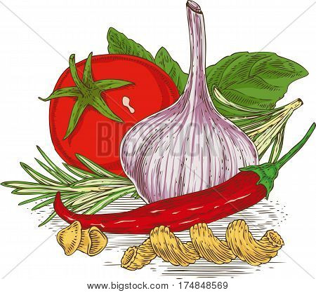 Composition with Ripe Vegetables Herbs and Pasta. Hand Drawn Illustration. Isolated on a White Background