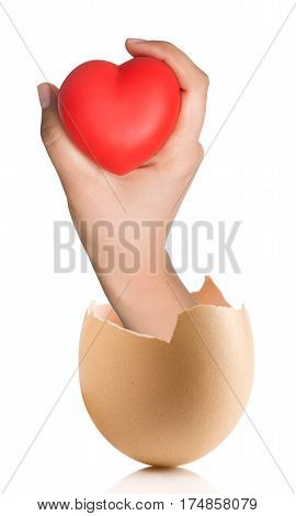 Hand With Broken Egg Isolated On White Backround