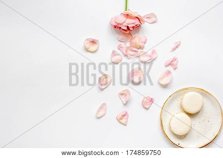 flat lay in pastel colors with rose petals and macaroons on white table background top view mockup