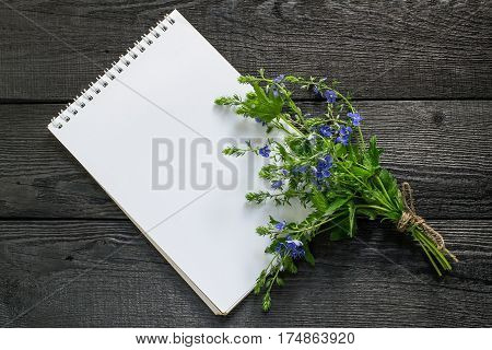 Medicinal plant Veronica Chamaedrys and notebook to write recipes and methods of application. Used in herbal medicine the indicator of soil acidity