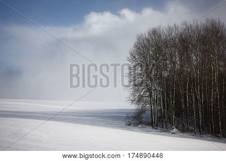 The snow cloud has left. In air last rare snowflakes fly. The sun shines a dark forest and a snow covered field.