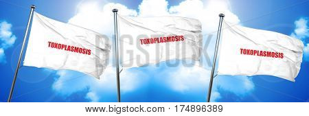 toxoplasmosis, 3D rendering, triple flags