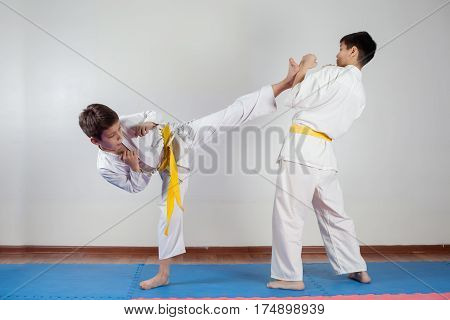 Two Boys Demonstrate Martial Arts Working Together