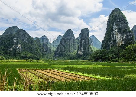 The karst mountains and rural scenery in summmer