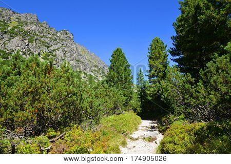 Mountain landscape in Western Carpathians. Mlynicka Valley in Vysoke Tatry (High Tatras), Slovakia