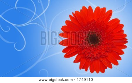 Diseño floral