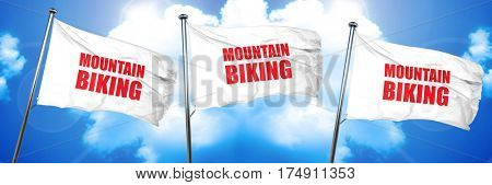 moutain biking, 3D rendering, triple flags