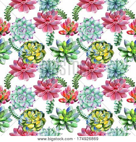 Wildflower succulentus flower pattern in a watercolor style isolated. Full name of the plant: succulentus. Aquarelle wild flower for background, texture, wrapper pattern, frame or border.