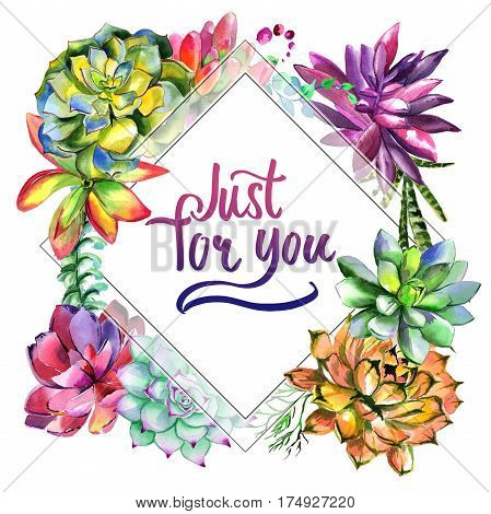 Wildflower succulentus flower frame in a watercolor style isolated. Full name of the plant: succulentus. Aquarelle wild flower for background, texture, wrapper pattern, frame or border.