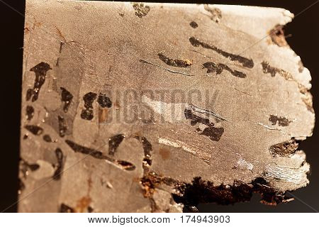 Macro photo of an iron meteorite with Widmanstaetten patterns.