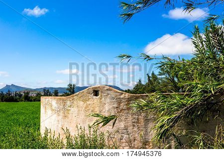 Weathered old farm dam wall in green field close up with reeds