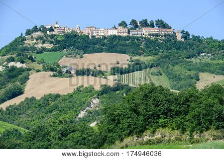 Rural Landscape Of Ripatransone On Marche