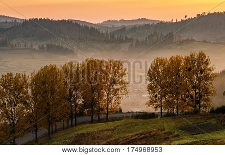 mountain rural area in autumn season. agricultural field in fog on a hill near the forest with red foliage. beautiful and vivid landscape.