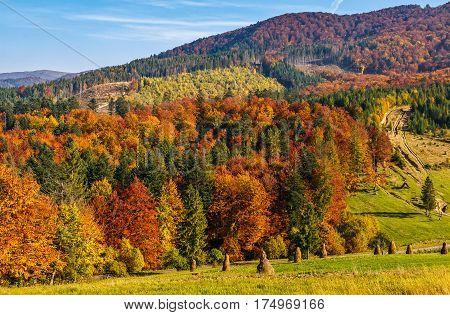 Mountain Rural Area In Autumn
