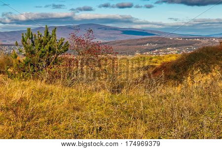 mountain rural area in autumn season. agricultural field with haystack on a hill near the forest with red foliage. beautiful and vivid landscape.