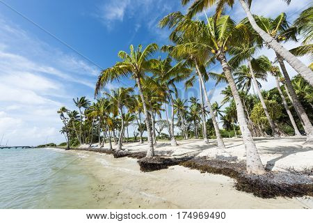Anse Champagne beach in Saint Francois, Guadeloupe, Caribbean