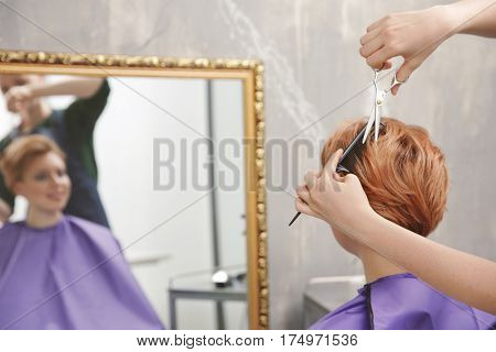 Hairdresser working with client at salon