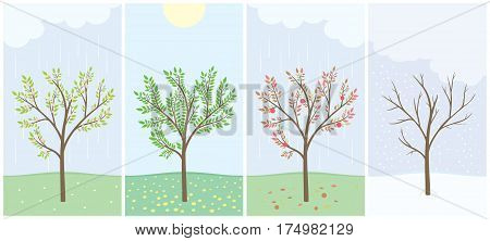 Four season with tree - spring, summer, autumn and winter