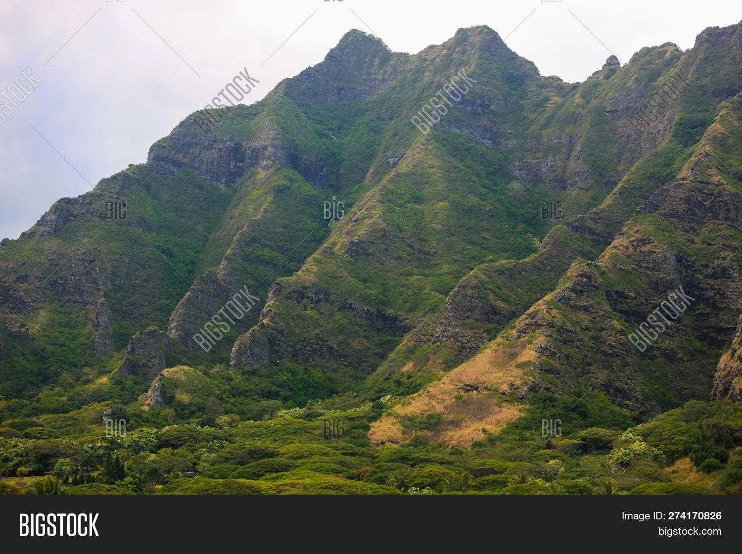 Steep Mountain Slope Image & Photo (Free Trial) Bigstock