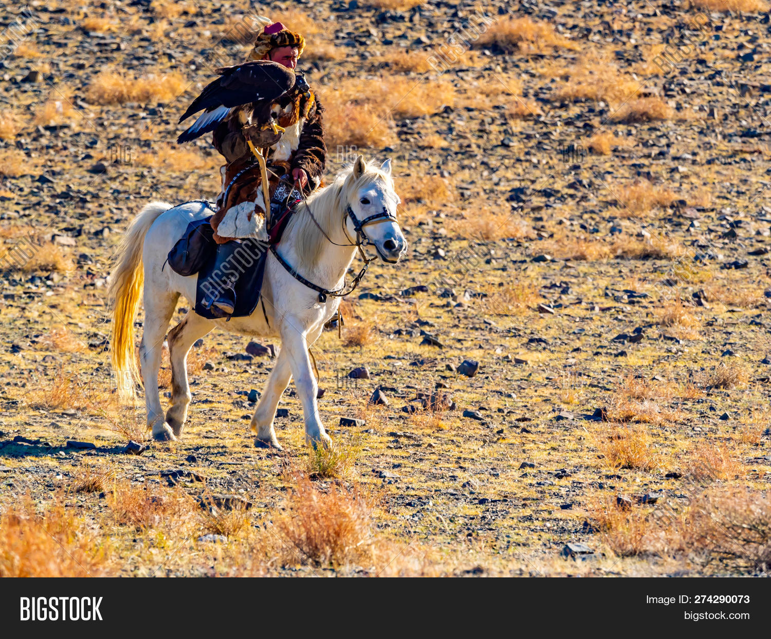Ulgii, Mongolia Image & Photo (Free Trial) Bigstock