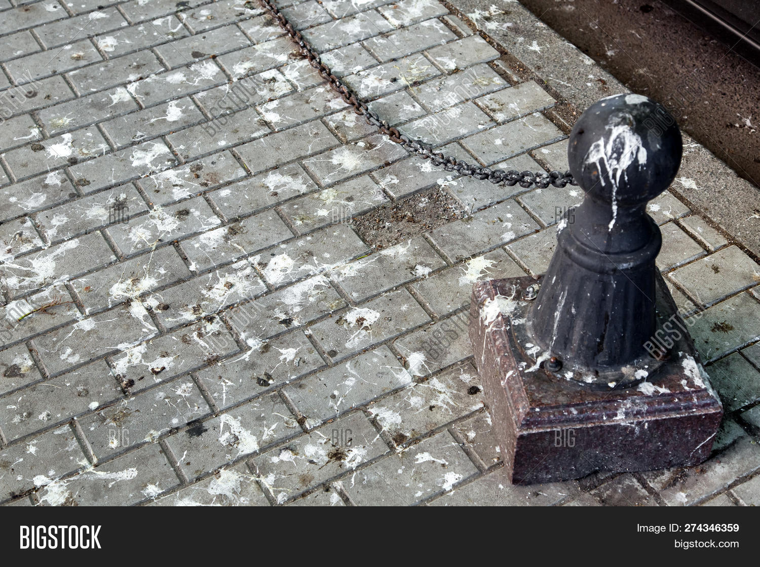 Black Bollard Chain On Image & Photo (Free Trial) | Bigstock