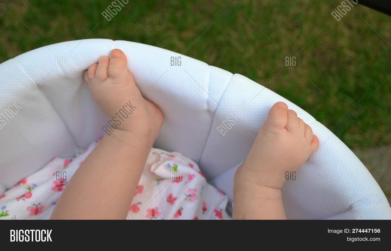 bare baby stroller