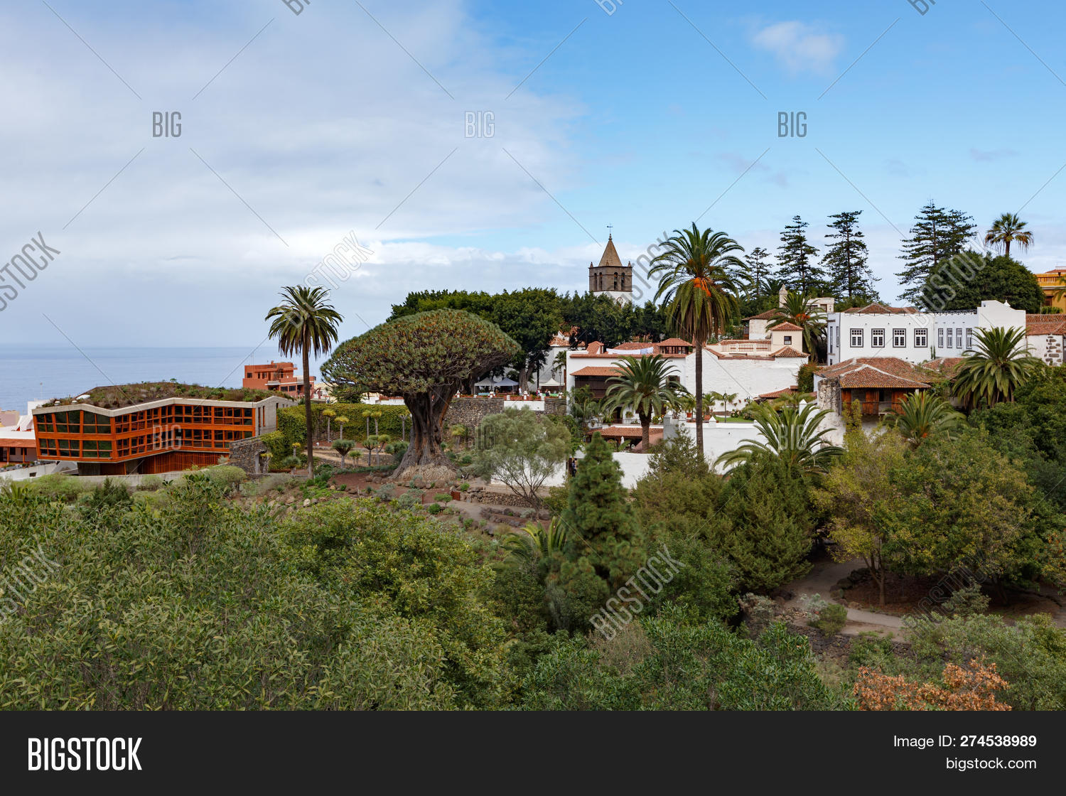 Icod De Los Vinos Image & Photo (Free Trial) | Bigstock