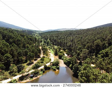 Aerial Drone View Of Aydos Forest Lake In Istanbul. Natural Life.