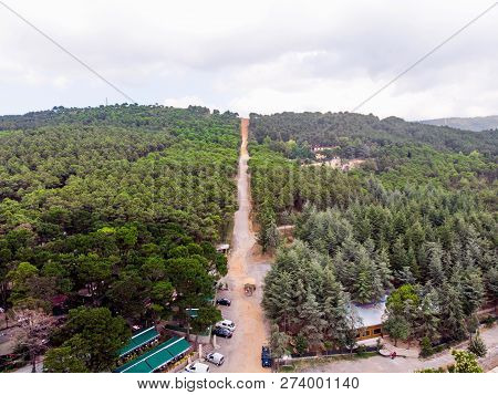 Aerial Drone View Of Ugur Mumcu Aydos Forest In Istanbul / Kartal