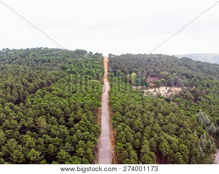 Aerial Drone View Of Ugur Mumcu Aydos Forest In Istanbul / Kartal