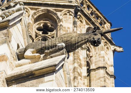 Unicorn Gargoyle, Plaza Del Rey. Gothic Quarter. Barcelona. Spain