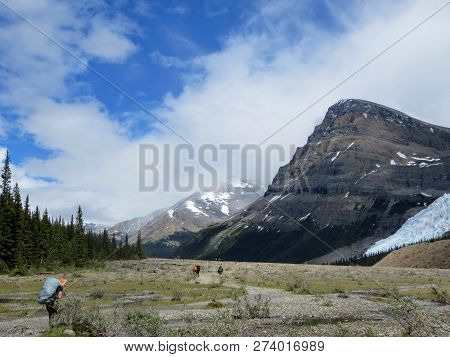 A Young Female Hiker Hiking Along The Berg Lake Trail, In Mount Robson Provincial Park, British Colu