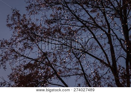 Blurry Christmas Lights On An Evening. Lightchain, Bright, Xmas, Mood;