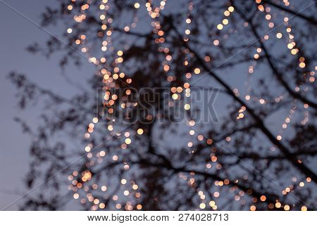 Blurry Christmas Lights On An Evening. Lightchain, Bright, Xmas, Mood;