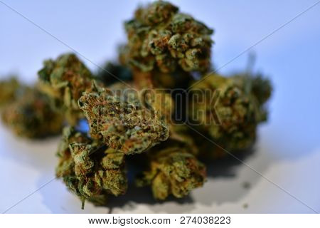 comatose is an indica strain of cannabis