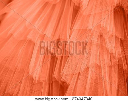 Coral Color Background . Coral Color Backdrop For Your Design. Trendy Color Concept Of The Year 2019