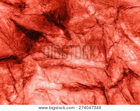 Coral Color Background . Coral Color Backdrop For Your Design. Trendy Color Concept Of The Year 2019