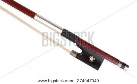Violin Bow Isolated At Dry Sunny Summer Day