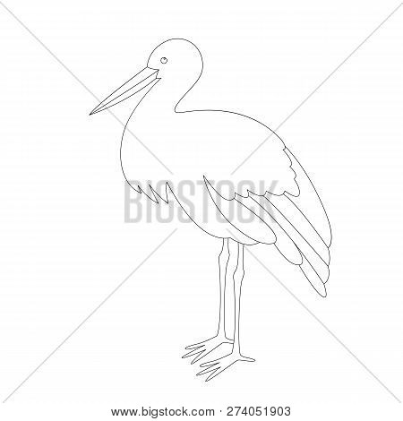 Stork Stends, Vector Illustration , Lining Draw ,profile View