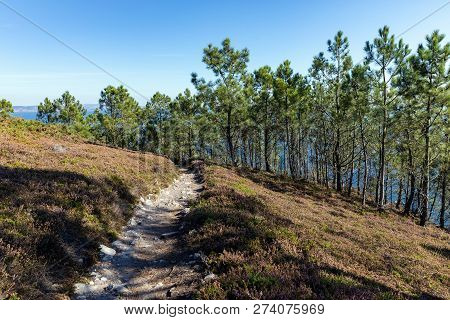 Coastal Trail Towards La Pointe De Saint-hernot On The Crozon Peninsula (finistere, France)