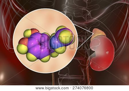 Epinephrine Hormone Produced By Adrenal Gland, 3d Illustration. It Has Effect On Blood Pressure, Lyp