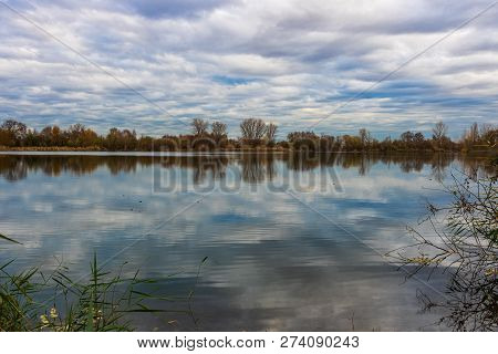 Landscape On A Lake In Germany - Frankenthal