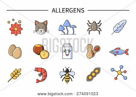 Allergens Causing Allergy, Food And Environmental Causes Vector. Flowers Eggs, Cats Fur And Dust, Fe